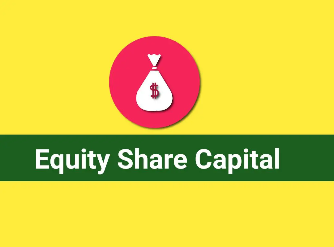 Equity Share Capital Meaning In Hindi