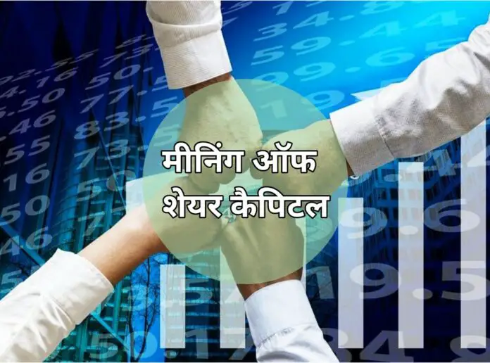 What Is The Meaning Of Authorized Share Capital In Hindi